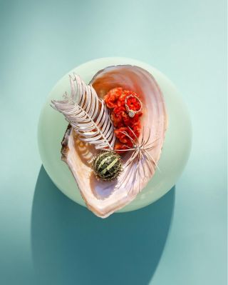 Bloom stále v jednom květu 💚 Abyste si nahodou nemysleli – Bloom kvete vesele dál. I při práci na nové kolekci nenechávám...