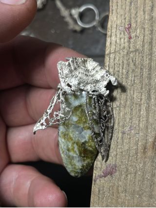 Snad stihnu ještě posledního brouka na výstavu do Brna.., a včerejší kytka rozmarýnu za oknem mé oblíbené sauny. Už tento...